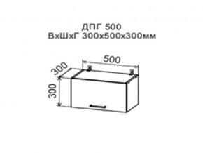 Шкаф верхний ДПГ500 горизонтальный в Красноуральске - krasnouralsk.магазин96.com | фото