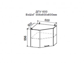 Шкаф верхний ДПУ600 угловой в Красноуральске - krasnouralsk.магазин96.com | фото